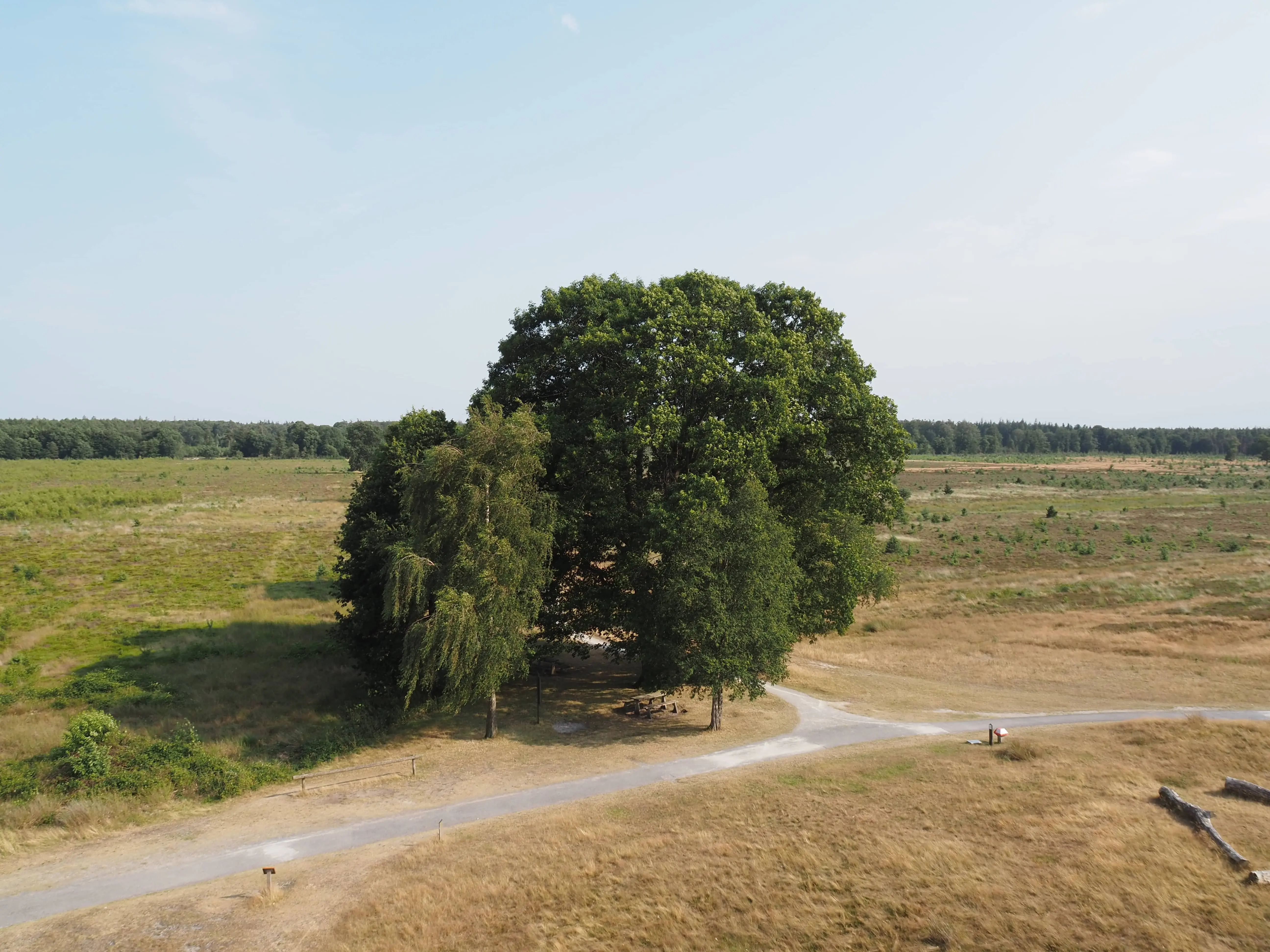 Drents Friese Wold